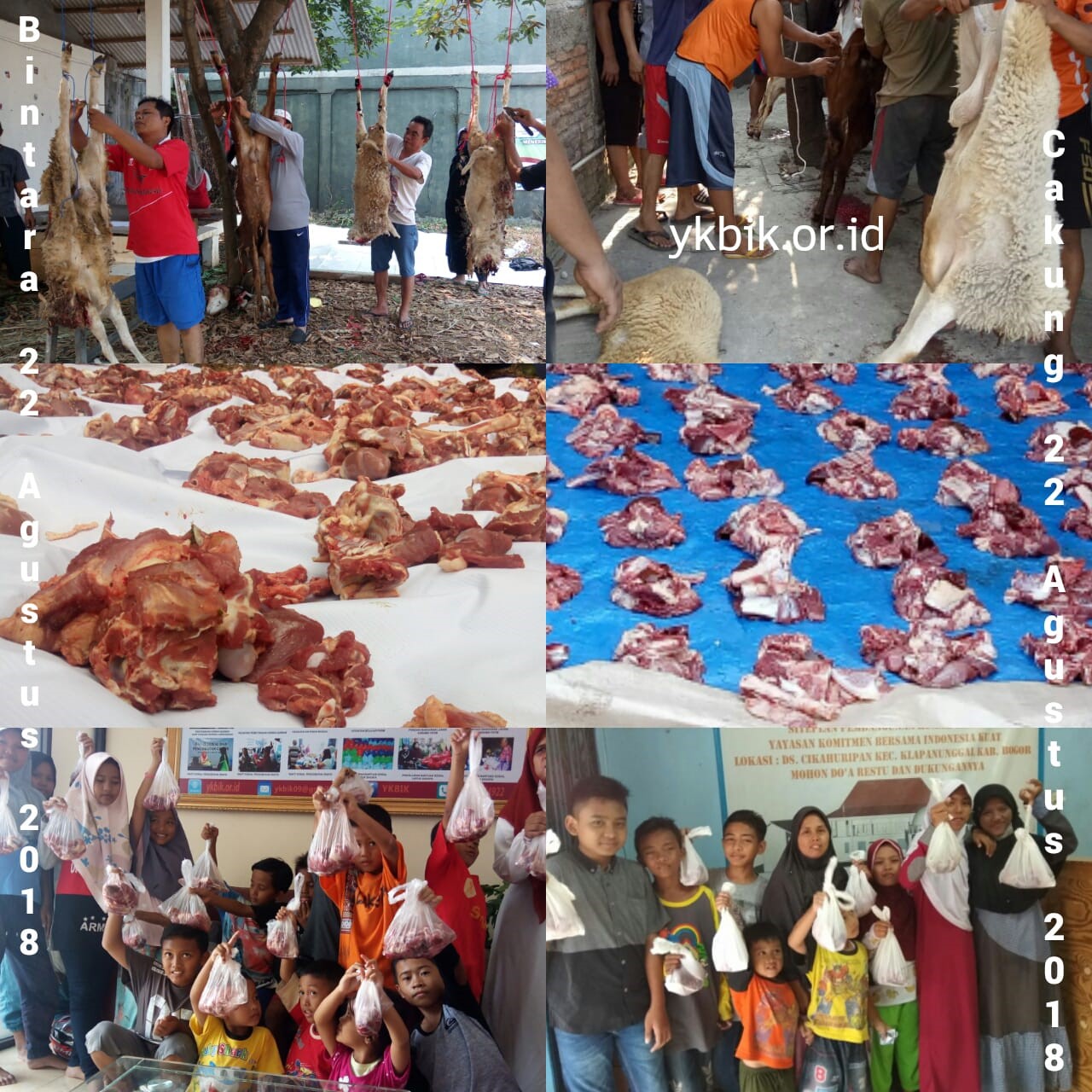 Tebar Hewan Qurban 1439 H