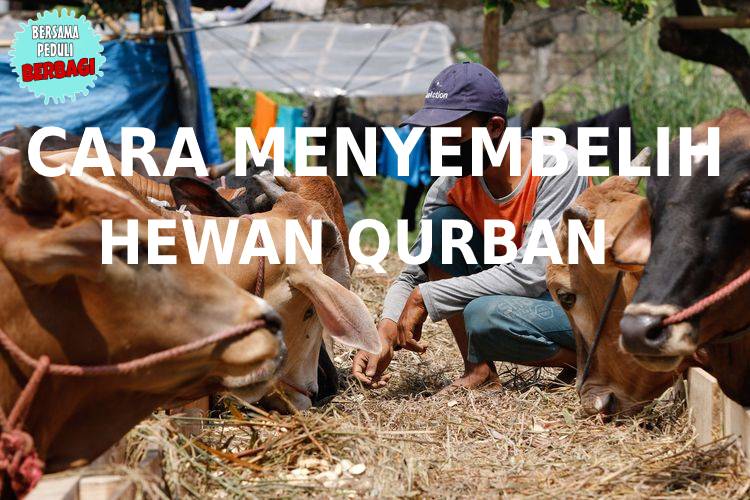 Cara Menyembelih Hewan Qurban yang Baik dan Benar
