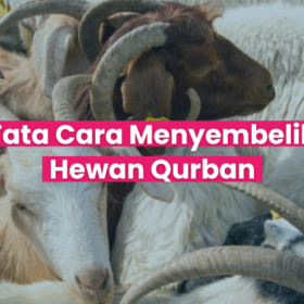 Tata Cara Menyembelih Hewan Qurban