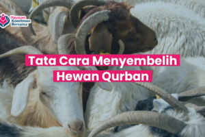 Tata Cara Menyembelih Hewan Qurban