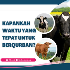 Waktu yang Tepat untuk Berkurban