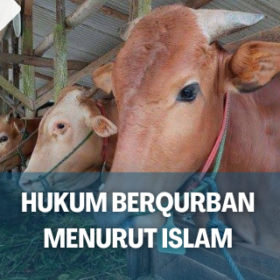 Hukum Berqurban Menurut Islam