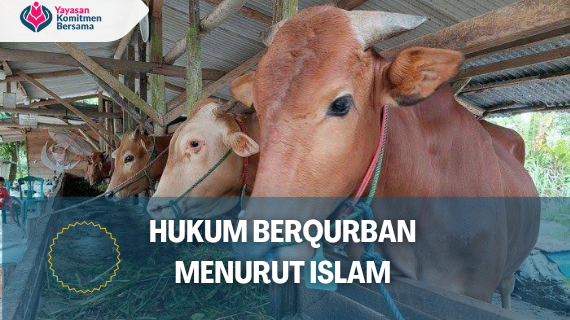 Hukum Berqurban Menurut Islam