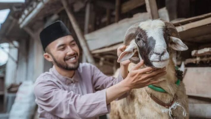 Hukum berqurban menurut Islam