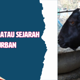 Asal Usul atau Sejarah Qurban