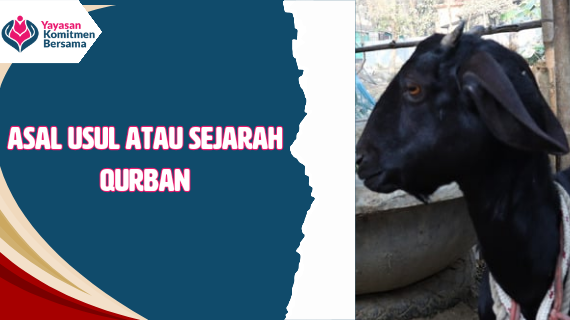 Asal Usul atau Sejarah Qurban