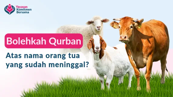 Bolehkah Qurban untuk Orang yang Sudah Meninggal? Ini Penjelasannya