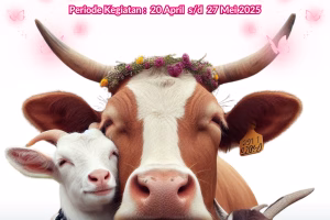 Proposal Qubagi 2026