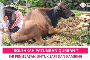 Bolehkah Patungan Qurban? Ini Penjelasan untuk Sapi dan Kambing