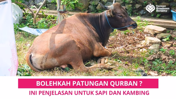 Bolehkah Patungan Qurban? Ini Penjelasan untuk Sapi dan Kambing