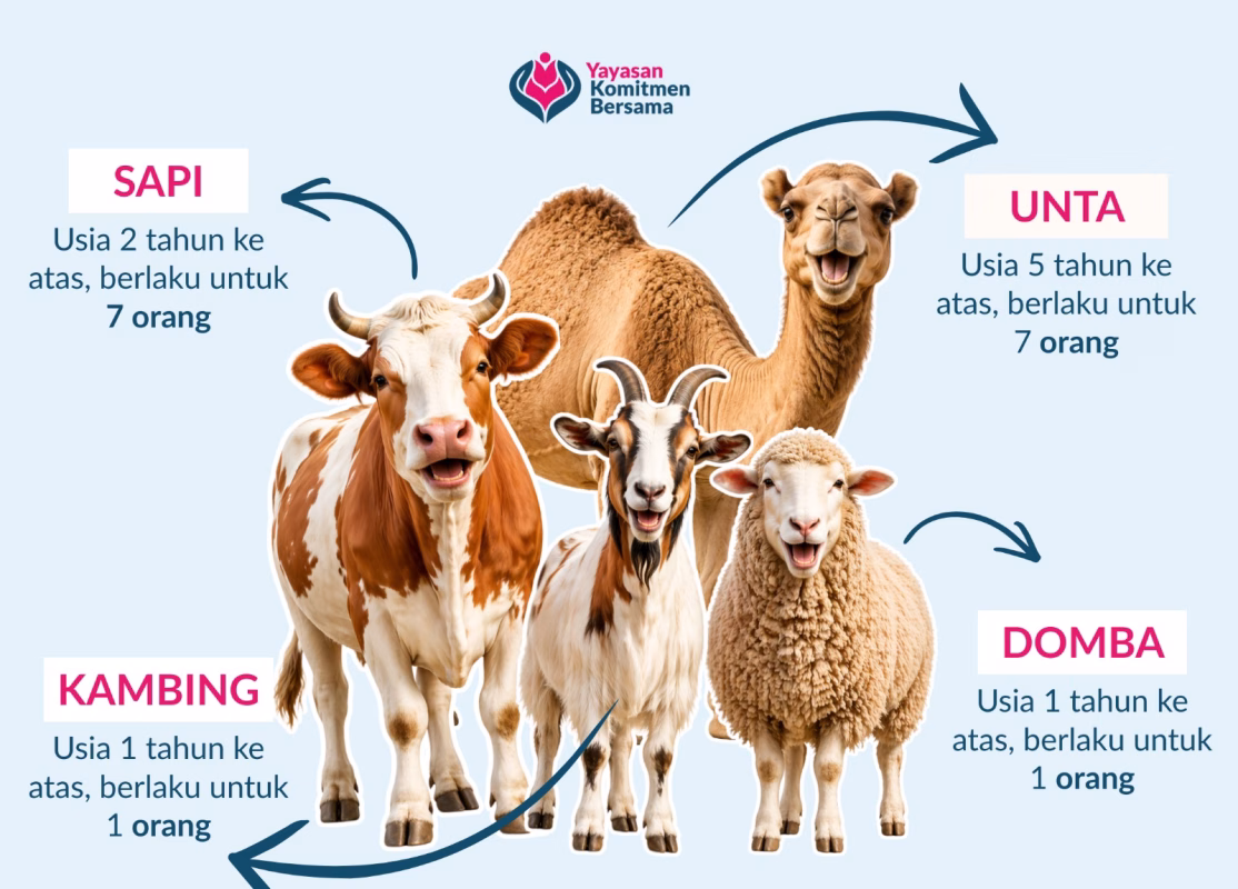 patungan qurban sapi kambing